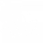 Pia Erfort-Groß Meditationen Blume weiß